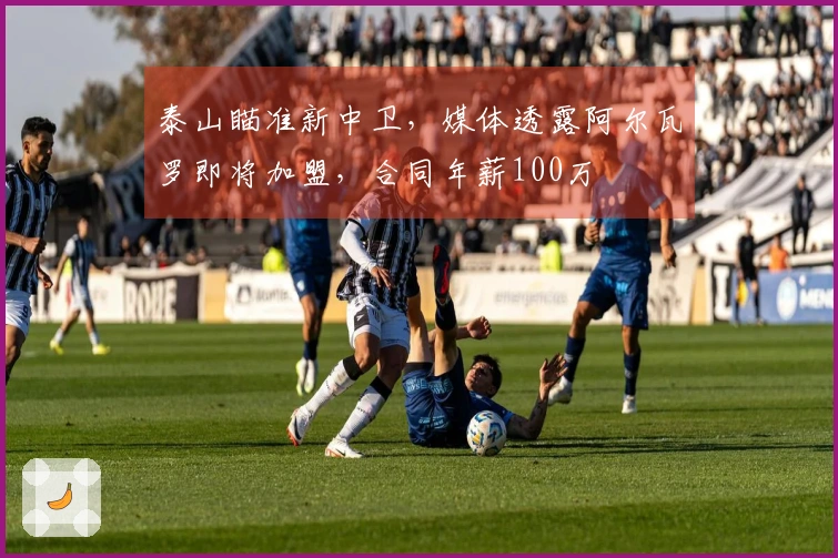 泰山瞄准新中卫，媒体透露阿尔瓦罗即将加盟，合同年薪100万