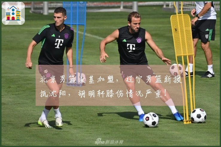 北京男篮麦基加盟，辽宁男篮新援抵沈阳，胡明轩膝伤情况严重！