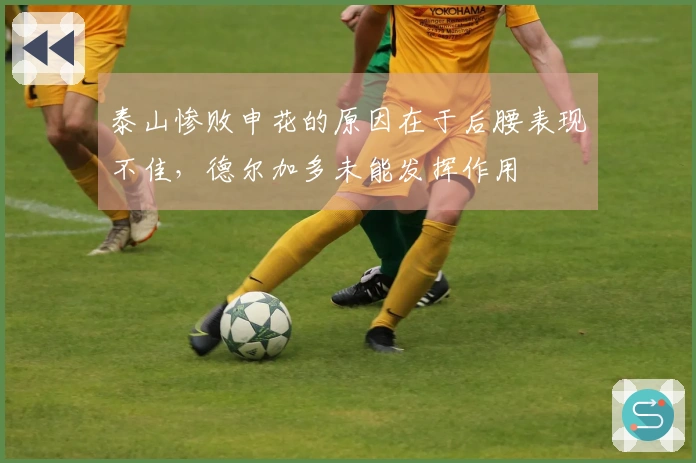 泰山惨败申花的原因在于后腰表现不佳，德尔加多未能发挥作用