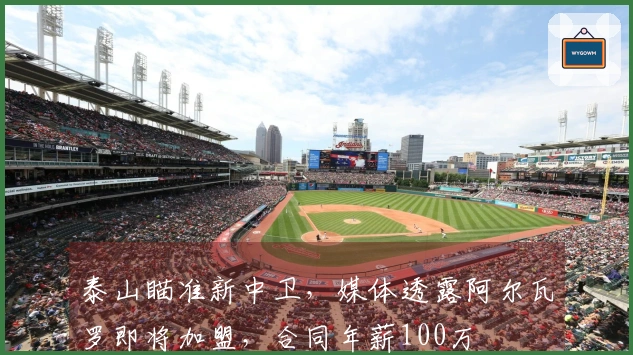 泰山瞄准新中卫，媒体透露阿尔瓦罗即将加盟，合同年薪100万